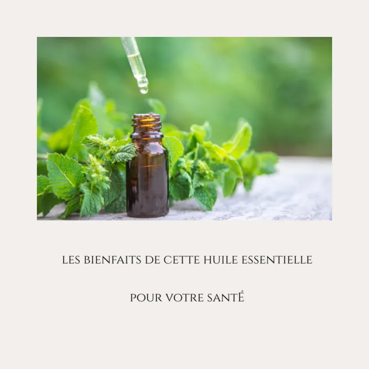 L'huile essentielle de menthe poivrée, votre alliée fraîcheur et digestion., Le Bouscat, Victoire Équilibre & Minceur
